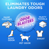 Arm Hammer Plus OxiClean with Odor Blasters Fresh Burst Laundry Detergent, 5-IN-1 Power Paks, 24 per Pack