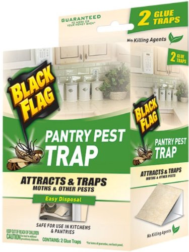 Black Flag Window Fly Trap Catches All Flying Insects 4 Traps